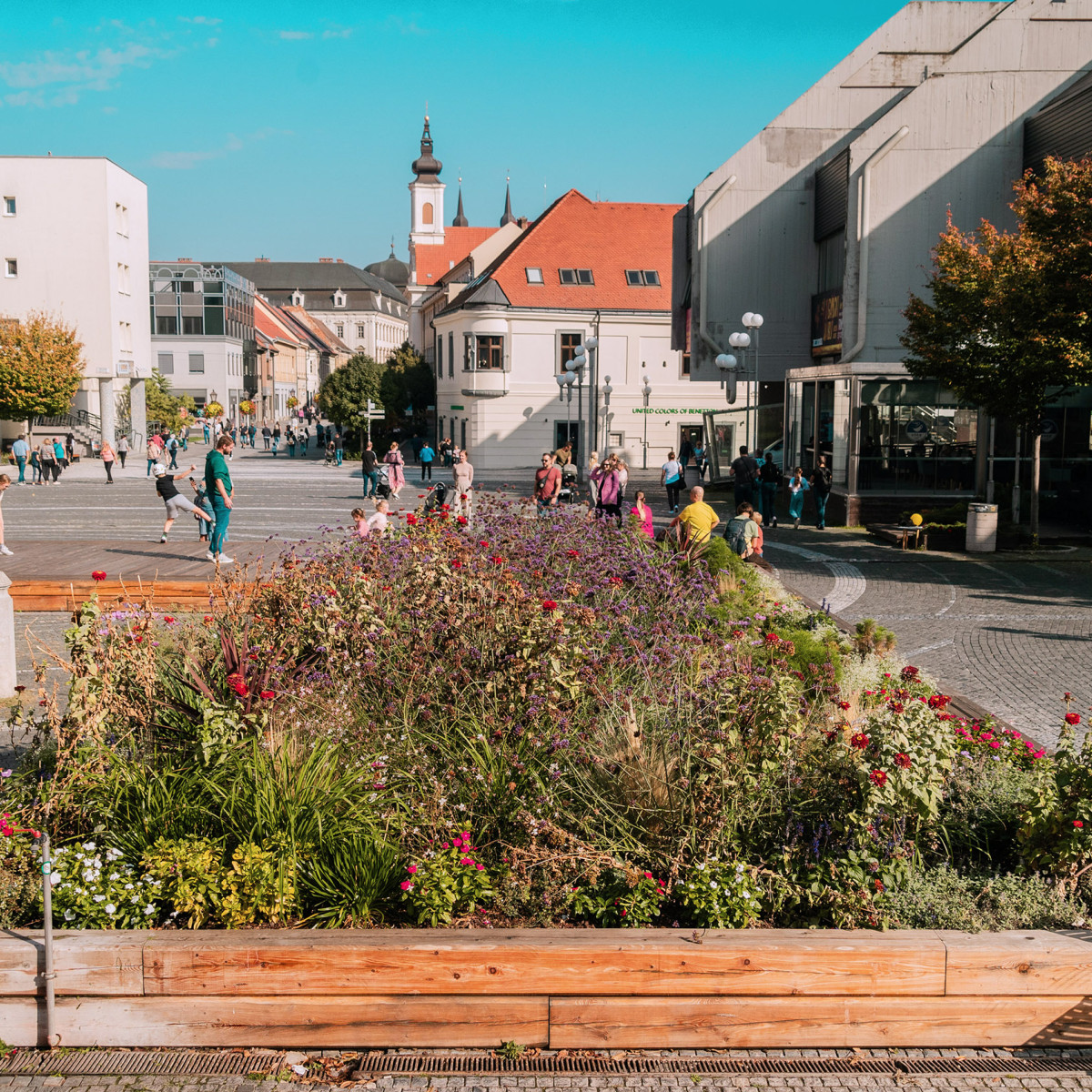 Záhony Trnava